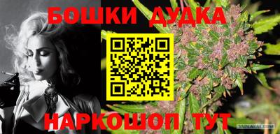 эйфоретик Можга