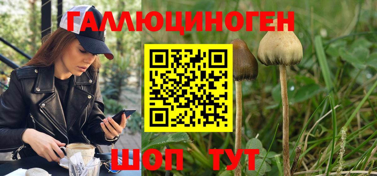 Псилоцибиновые грибы прущие грибы Чита