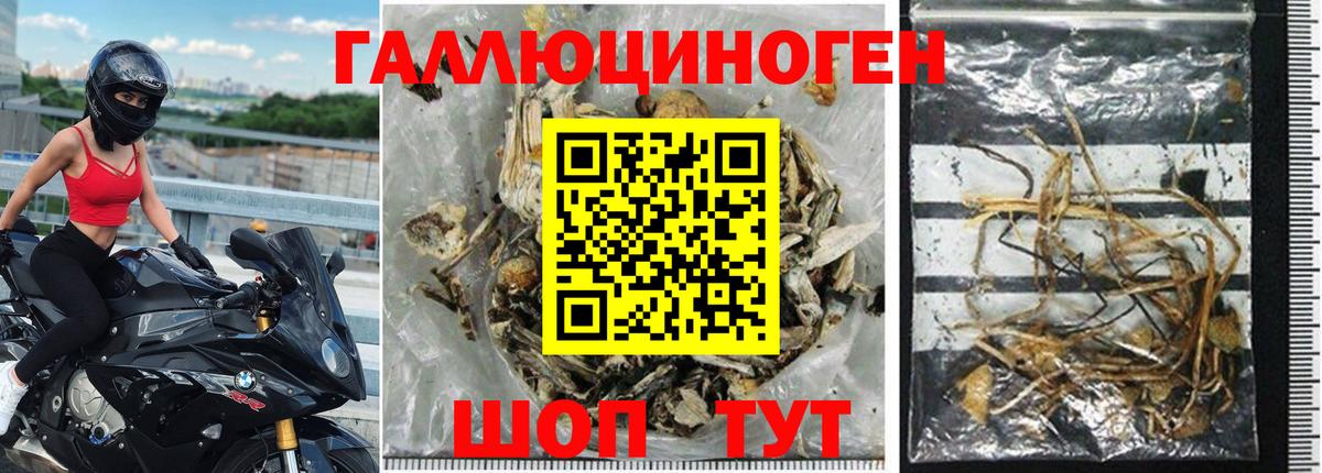 Галлюциногенные грибы прущие грибы  Вход с VPN  Чита 